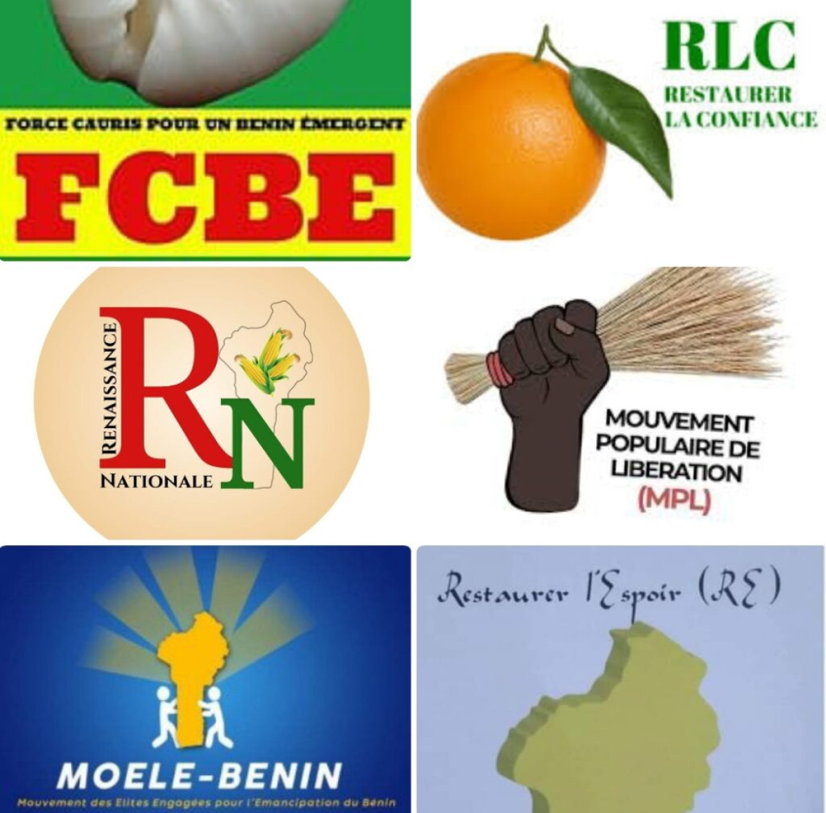 NOUVEAU CODE ÉLECTORAL AU BÉNIN : Fcbe, Mpl, Rlc, Rn, Moele-Bénin, Re, vers une mort prématurée ?
