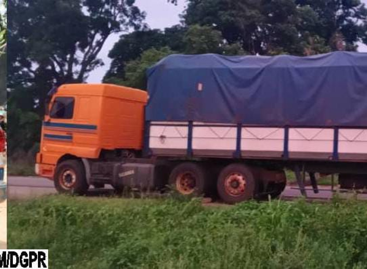 SORTIE ILLICITE DE NOIX DE CAJOU AU BÉNIN :  84 tonnes interceptées à Bantè