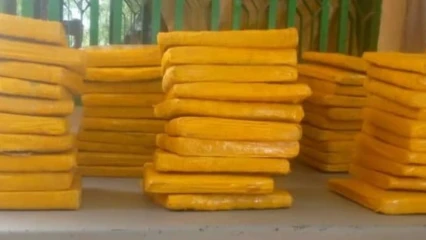 Commune de Malanville: plus de 300 plaquettes de chanvre indien saisies