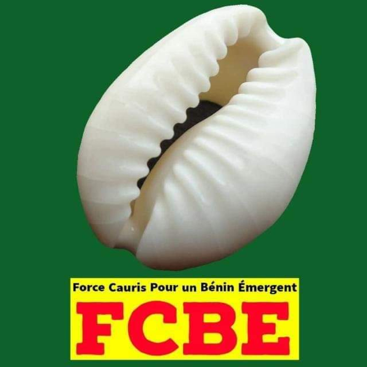 COMMUNALES ET MUNICIPALES DU 17 MAI DERNIER : Fcbe, la grosse surprise!