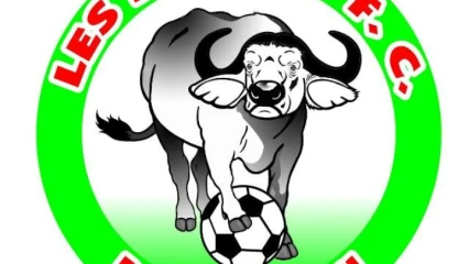 FOOTBALL/ COUPE DU BENIN : De grands chocs pour les quarts de finale