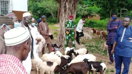 PROMOTION DE L’ELEVAGE DANS LE SEPTENTRION : Le président de l’Apess Mama Sambo offre des kits ovins aux éleveurs