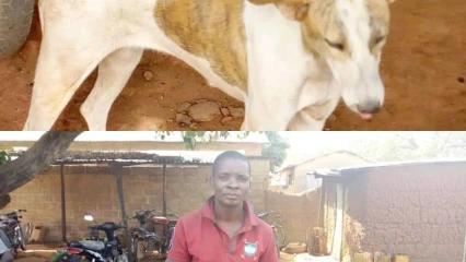 INSOLITE À BEMBEREKE  : Un chien et son maître ramassent de l&rsquo;argent et le retourne à son propriétaire