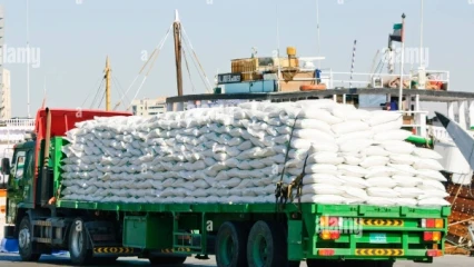 BÉNIN/SUBVENTIONS DES ENGRAIS POUR LA CAMPAGNE AGRICOLE 2024-2025 : Le gouvernement mobilise plus de 24 milliards de francs