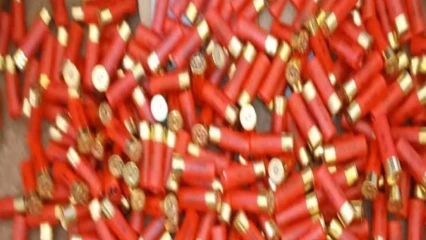 Tchaourou/Pour trafic de munitions :Deux individus arrêtés à Bétérou