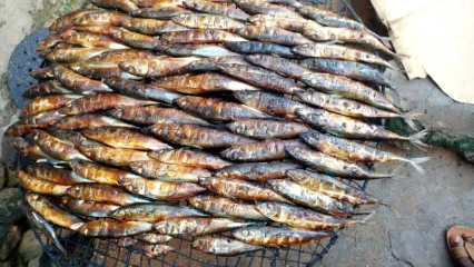 TECHNIQUE TRADITIONNELLE DE FUMAGE DE POISSONS AU BÉNIN : Au cœur d&rsquo;une pratique aux énormes dangers sanitaires et environnementaux