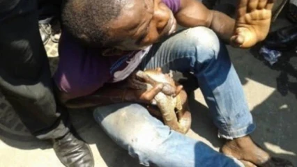 INSOLITE : Un portefeuille volé se transforme en serpent