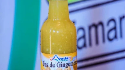 PRODUITS DANS DES CONDITIONS NATURELLES SANS ADDITIFS : Le jus de gingembre Amdagri, la meilleure boisson aux 10 vertus thérapeutiques