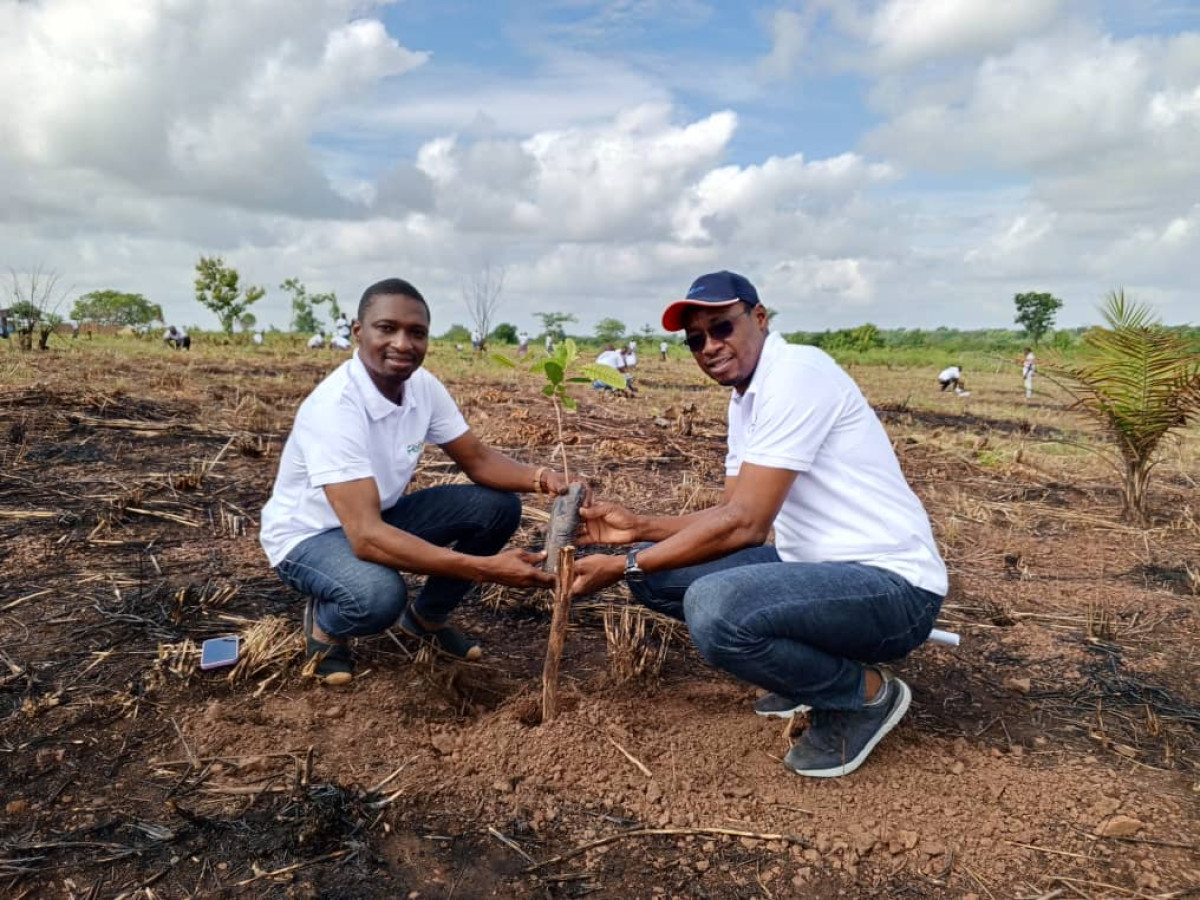 POUR UNE MEILLEURE PRODUCTIVITE À TRAVERS LES PLANTS PERFORMANTS D&rsquo;ANACARDIERS : Pro-Cashew et la Fenapab mettent en terre 200 plants à Kétou . Usda, partenaire financier