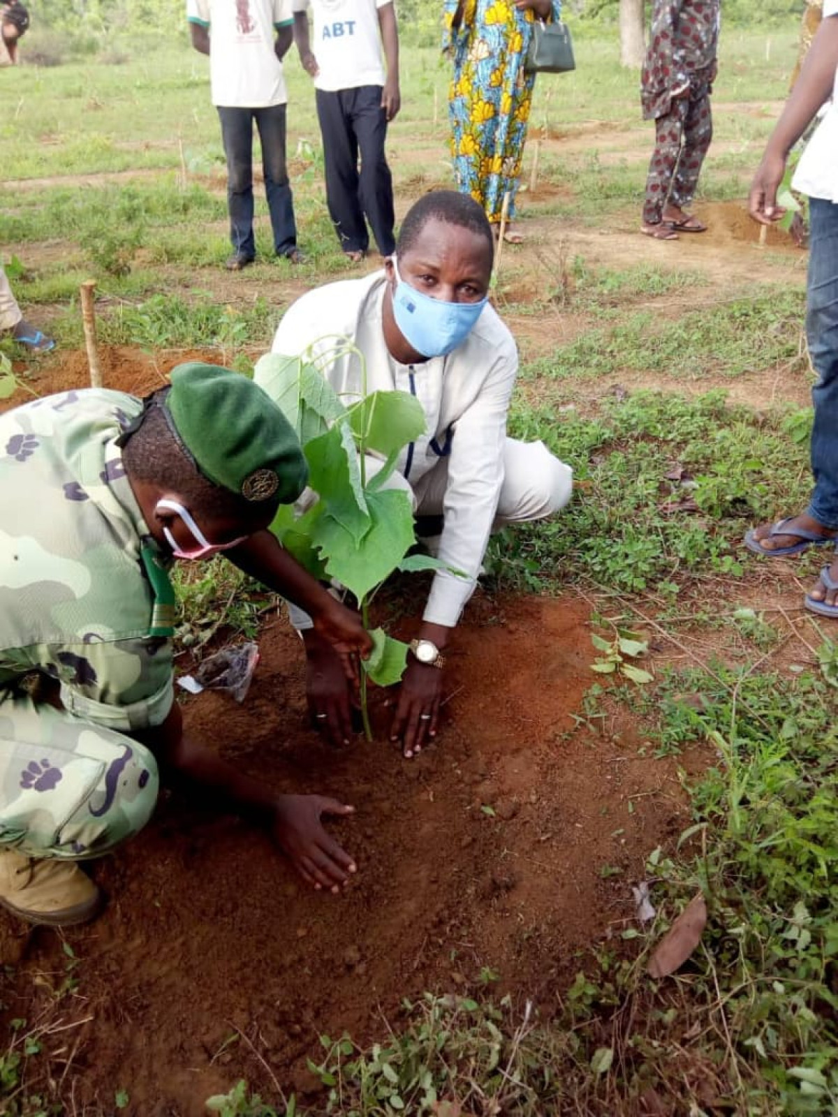JOURNÉE DE L&rsquo;ARBRE A NIKKI : 2 500 plants mis en terre