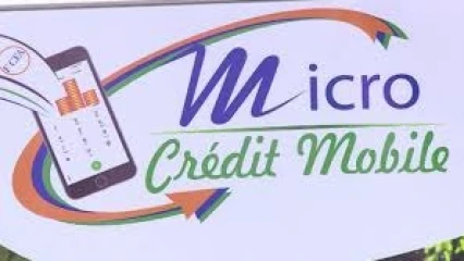EDITO : Quel microcrédit?