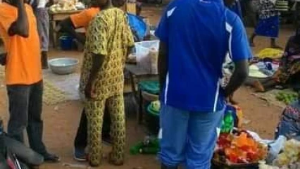 FAIT DIVERS À NIKKI : Des abeilles envahissent le marché de Sakabansi