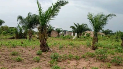 FONCIER AU BÉNIN : La délivrance de l&rsquo;Attestation de Détention Coutumière suspendue