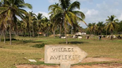 TOURISME AU BÉNIN : Un recrutement de 16 profils lancé