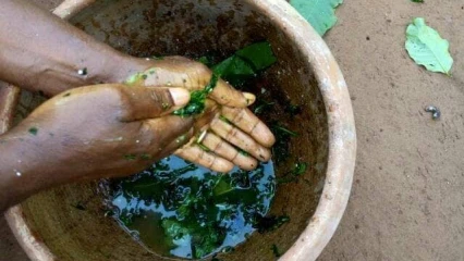 CHRONIQUE DES US ET COUTUMES : La médecine africaine à l’heure des illusions