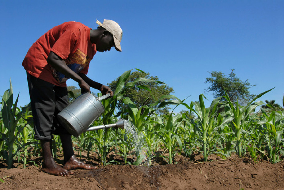 BÉNIN/MINISTÈRE DE L&rsquo;AGRICULTURE, DE L’ÉLEVAVE ET DE LA PÊCHE  :   Le gouvernement annonce le recrutement de 225 agents contractuels 