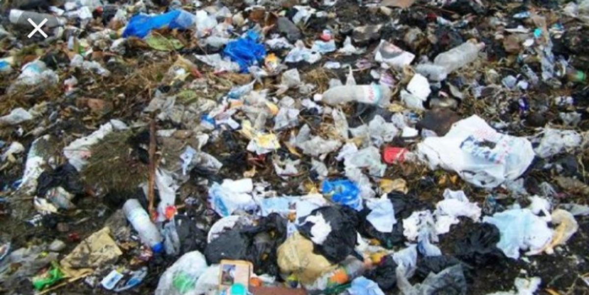 JOURNÉE MONDIALE SANS SAC PLASTIQUE  : Le Bénin peine à enclencher la lutte !