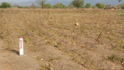 BENIN/OPÉRATIONS DE LOTISSEMENT ET DE REMEMBREMENT FONCIER URBAIN : 1 599 dossiers traités révèlent de nombreuses irrégularités