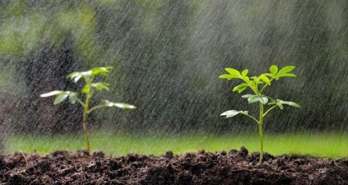 Arrêt inattendu des pluies à Cotonou, Calavi et environs: pratiques endogènes ou technologiques liées aux chantiers en cours ?