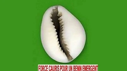 POLITIQUE AU BENIN : Quel poids pour les Fcbe sans Boni Yayi ?