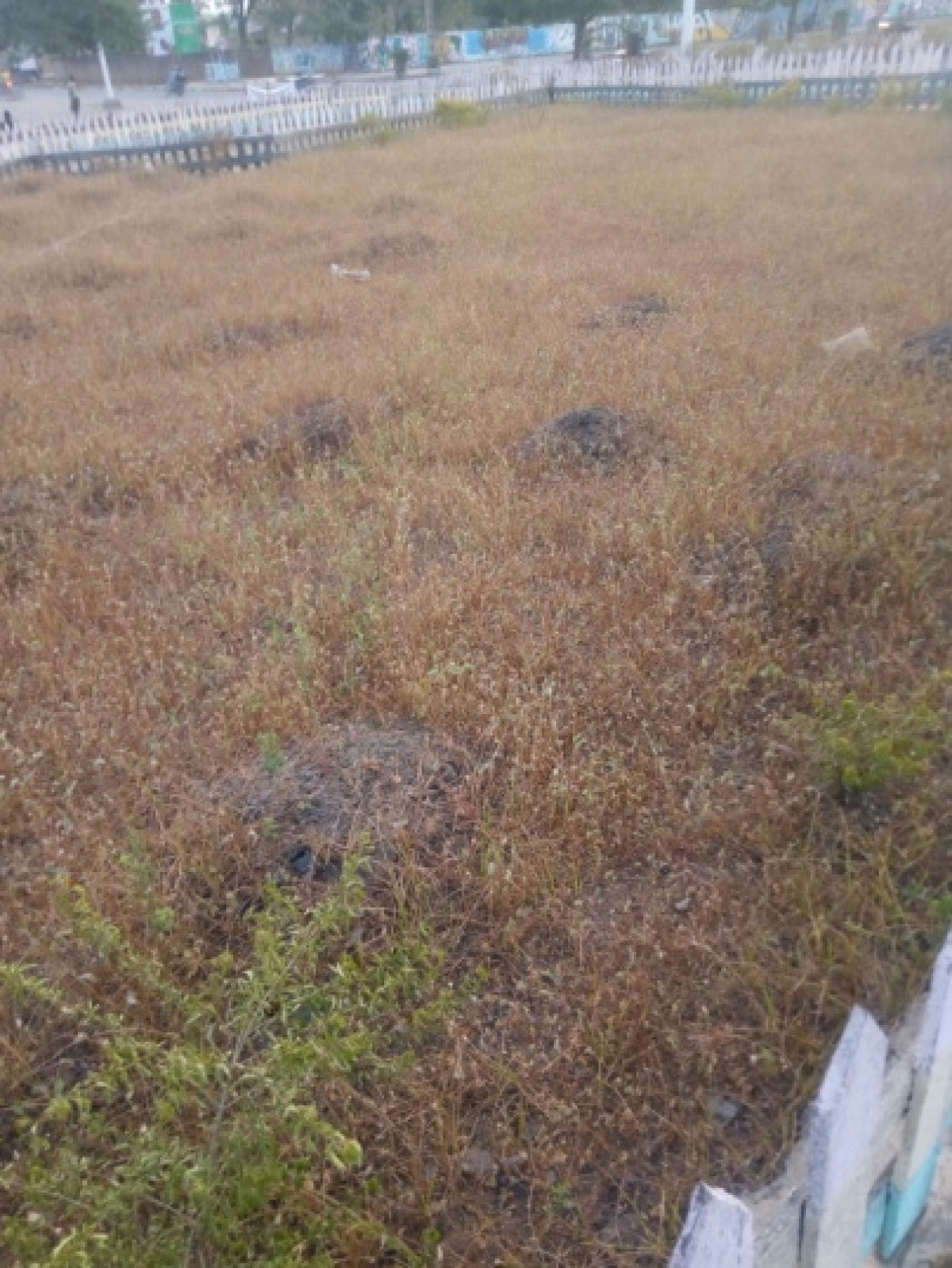 MANQUE D&rsquo;ENTRETIEN DES ESPACES VERTS DES PLACES PUBLIQUES DE PARAKOU : La mairie interpellée