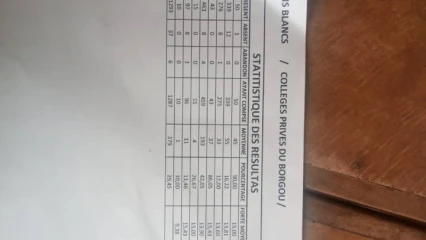 EXAMENS BLANCS 2021 DES COLLEGES PRIVES DU BORGOU : Les résultats disponibles