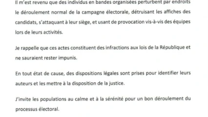 DESTRUCTION DES AFFICHES DES CANDIDATS ET ATTAQUE À LEUR SIÈGE : Le ministre Sacca Lafia met en garde les semeurs de troubles