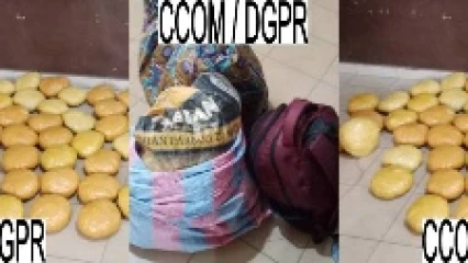 Lutte contre le trafic des produits psychotropes à Bohicon: la police interpelle 2 individus avec 22 kg de chanvre indien