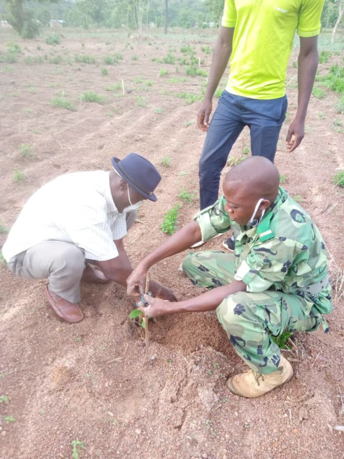 BÉNIN/JOURNÉE DE L&rsquo;ARBRE : Ouaké met près de 2000 plants en terre
