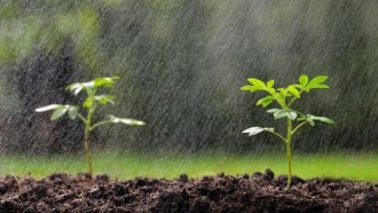 Arrêt inattendu des pluies à Cotonou, Calavi et environs: pratiques endogènes ou technologiques liées aux chantiers en cours ?
