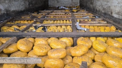 Déménagement d'un réseau de trafic de stupéfiants à Tchaourou: la police saisie 2 450,61 kg de drogue à Bétérou