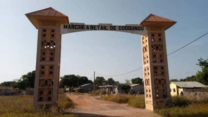 MAIRIE DE GOGOUNOU : Les recettes des marchés à bétail font polémique  . L’Algmbg déclare 11 599 150F Cfa