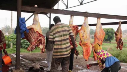 INSPECTION DE L&rsquo;ABATTOIR DE PARAKOU PAR LE DG DE L&rsquo;ABE : Dr François-Corneille Kèdowidé recommande la délocalisation du bâtiment