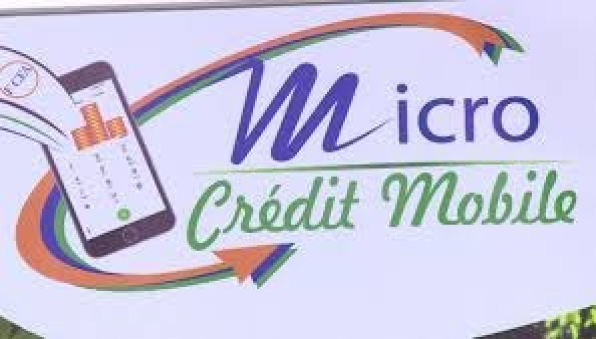 EDITO : Quel microcrédit?