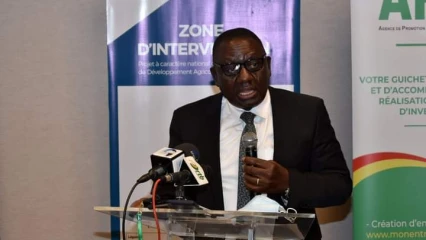 COMPETITIVITE DES FILIERES AGRICOLES AU BENIN : Le gouvernement lance le pacofide