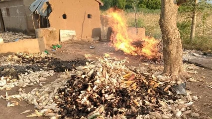 AFFRONTEMENT ENTRE ÉLEVEURS ET POPULATIONS  :  Deux personnes trouvent la mort à Matéri 