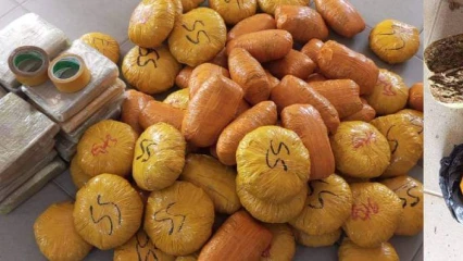 DÉPARTEMENT DE L&rsquo;OUÉMÉ : La police saisit 83 emballages de chanvre indien à Gbéflomè