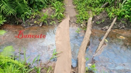 BENIN/IMPRATICABILITE DES ROUTES DANS LES MILIEUX RURAUX : Une enquête de Banouto révèle le calvaire des femmes enceintes