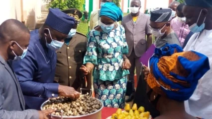 BENIN/COMMERCIALISATION DES NOIX DE CAJOU : La campagne 2020-2021 officiellement lancée à Kétou