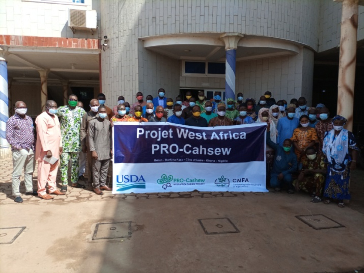 COMMERCIALISATION DES NOIX BRUTES DE CAJOU AU BÉNIN : La Fenapab et le projet Pro-Cashew actualisent le mécanisme de vente groupée.  La vision du gouvernement Talon préoccupe les acteurs