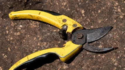 BENIN/FAITS DIVERS : Elle tente d&rsquo;arracher le gland de son époux  . Voici la raison