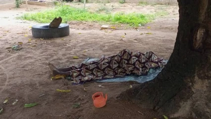 BÉNIN :  Deux personnes décèdent après consommation de la viande de chat