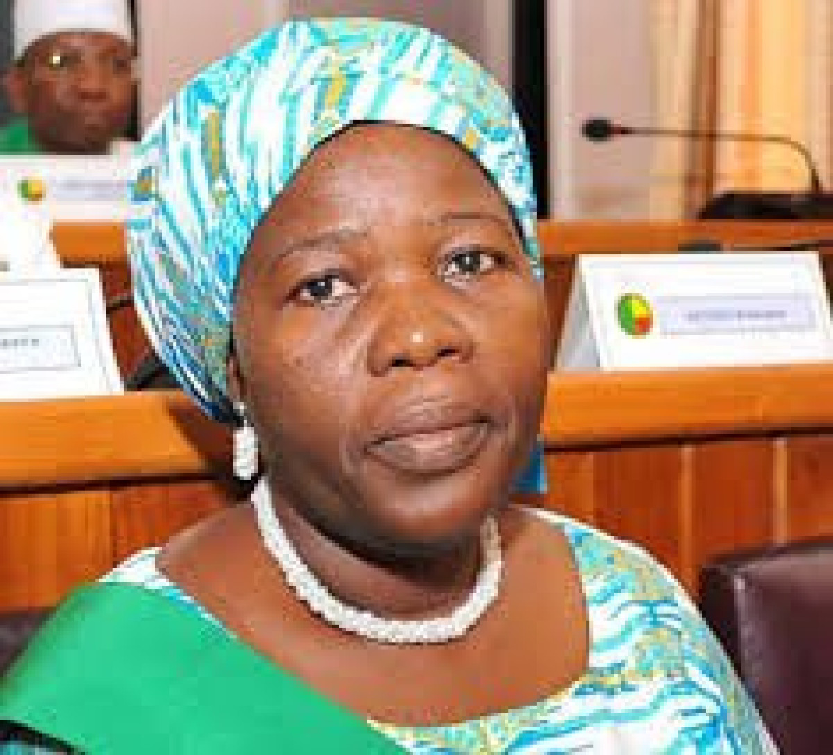 BENIN/ASSEMBLEE NATIONALE 8ème LEGISLATURE : Les députés ont adopté 38 lois en 2020