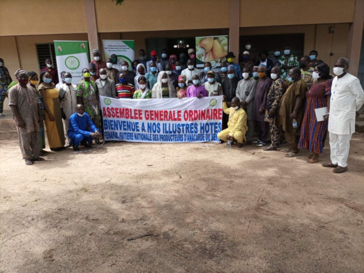 PROMOTION DE LA FILIERE  CAJOU AU BENIN : La Fenapab rend compte à ses coopératives . Des résultats encourageants notés pour 2021