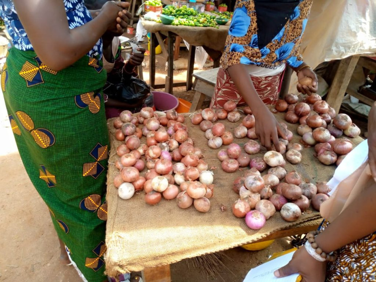 FLAMBÉE DU PRIX DE L&rsquo;OIGNON À PARAKOU : Consommateurs et revendeurs se plaignent