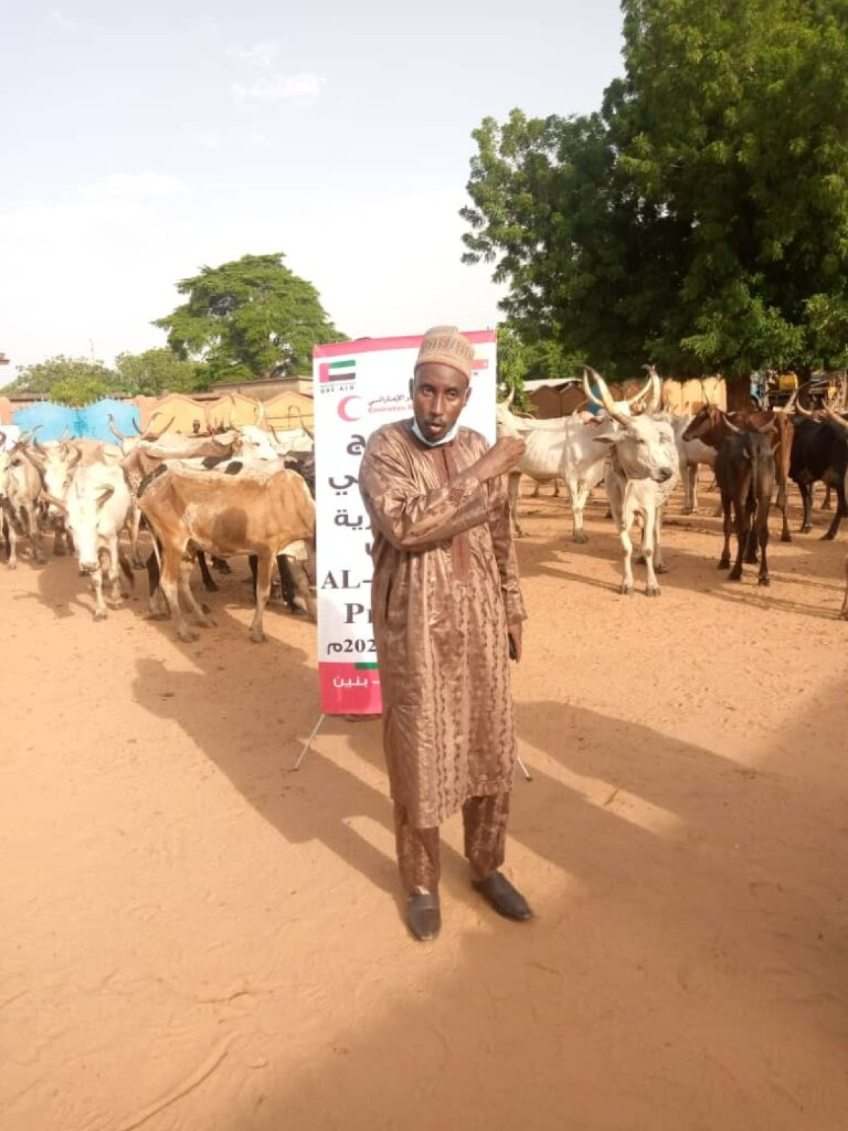 TABASKI A MALANVILLE/ GRACE AU PARTENAIRE EMIRATES RED CRESCENT : L&rsquo;Ong Bienfaisance au Bénin fait don de 130 bœufs à plusieurs ménages