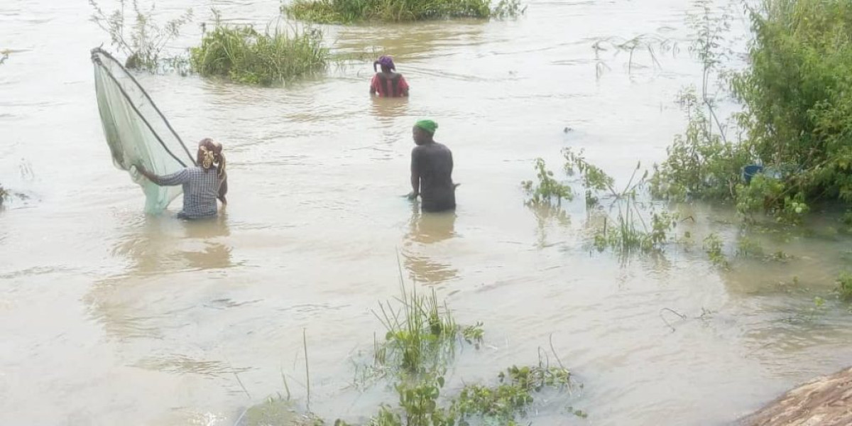 PÊCHE SUR LE FLEUVE OKPARA : Une activité génératrice de revenus battant de l&rsquo;aile . Production halieutique loin de satisfaire les populations