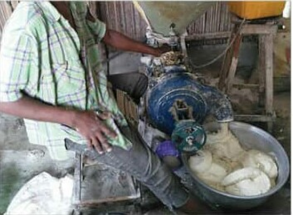 MEUNERIE AU BENIN  : Le métier des dignes oubliés de la société