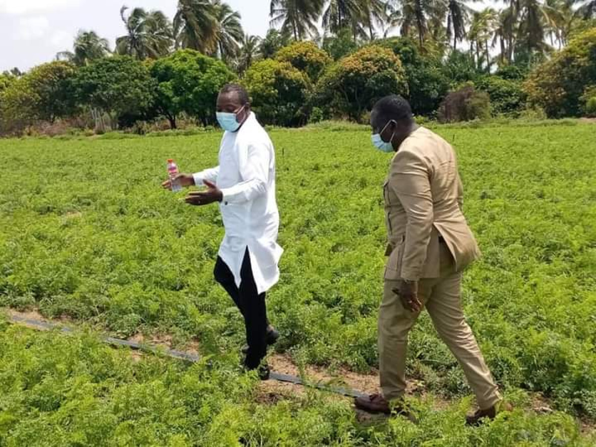 CAMPAGNE AGRICOLE 2021-2022 : Le ministre Dossouhoui a donné le top à Grand-Popo