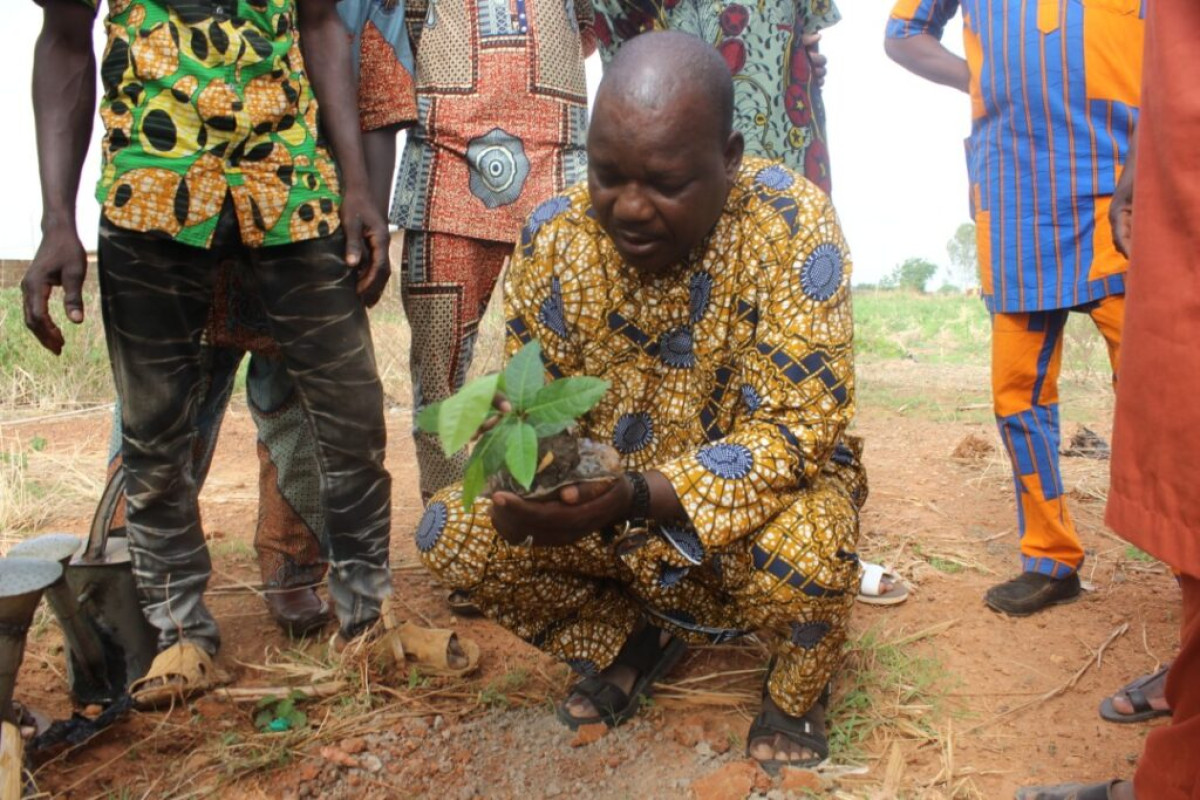 BANIKOARA/JOURNEE MONDIALE DE LA LUTTE CONTRE LA DESERTIFICATION : Une centaine de plants mis en terre à l&rsquo;hôtel de ville